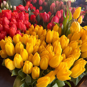 Meet your Posher, Elena